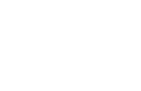 DIW Berlin