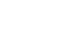 BVB Logo